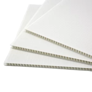 Plain Correx Board – 3mm & 5mm Thickness
